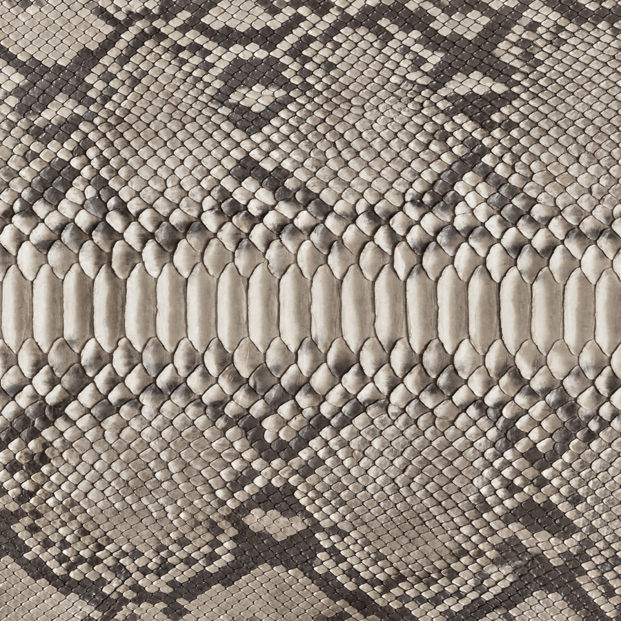 Python