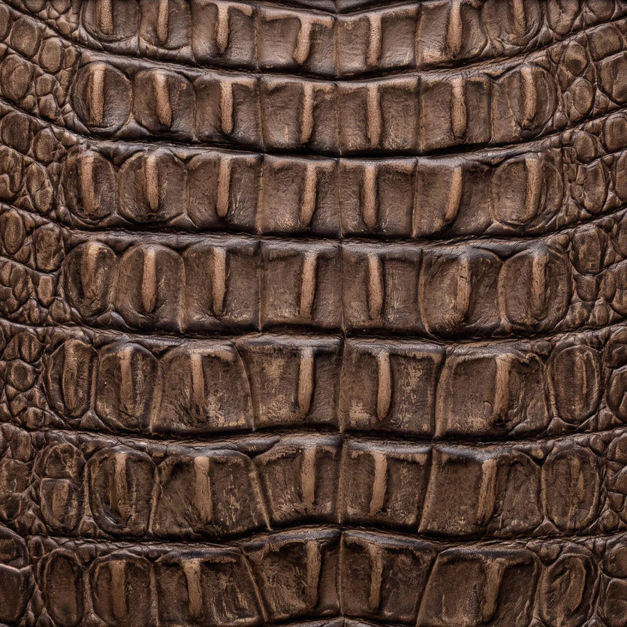 Hornback American Alligator Print