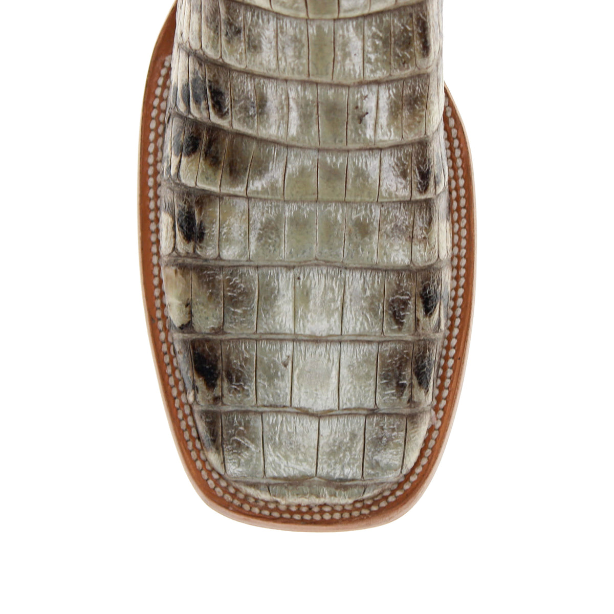 Alligator boot leg close-up with textured scales and brown stitched trim