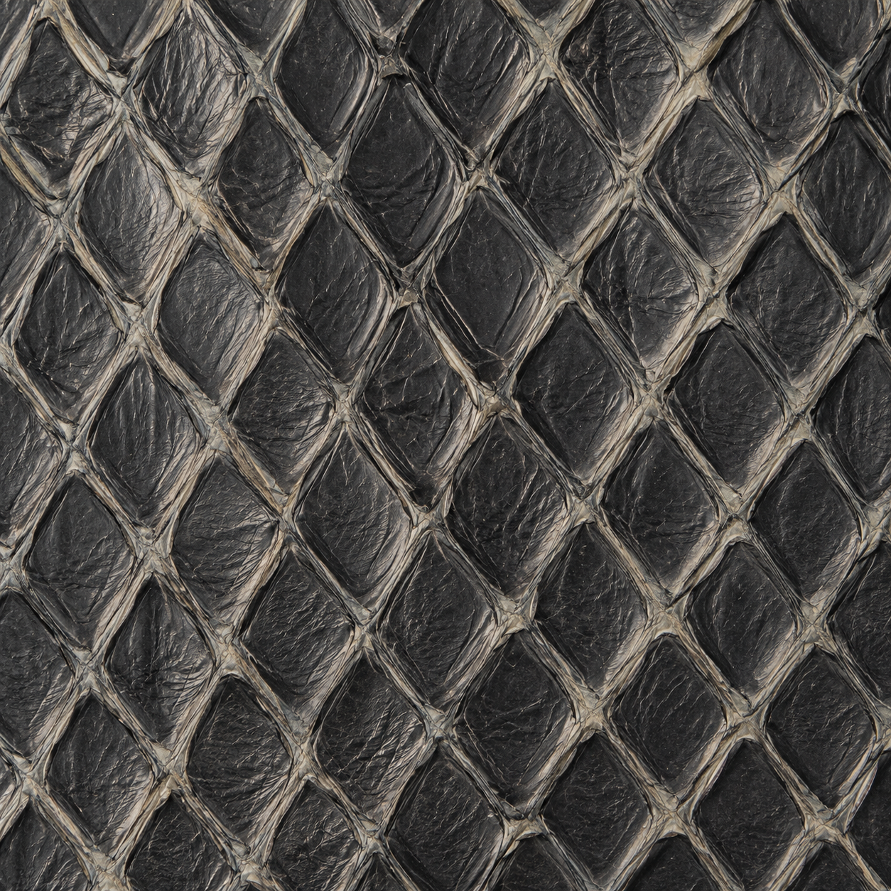 Rustic Gray Pirarucu Fish Leather Swatch