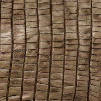 Stone Washed