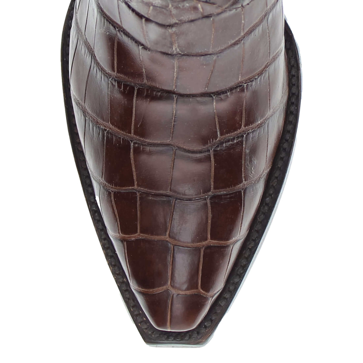 Women's Vaccari American Alligator Belly Snip Toe Boots by Vaccari
