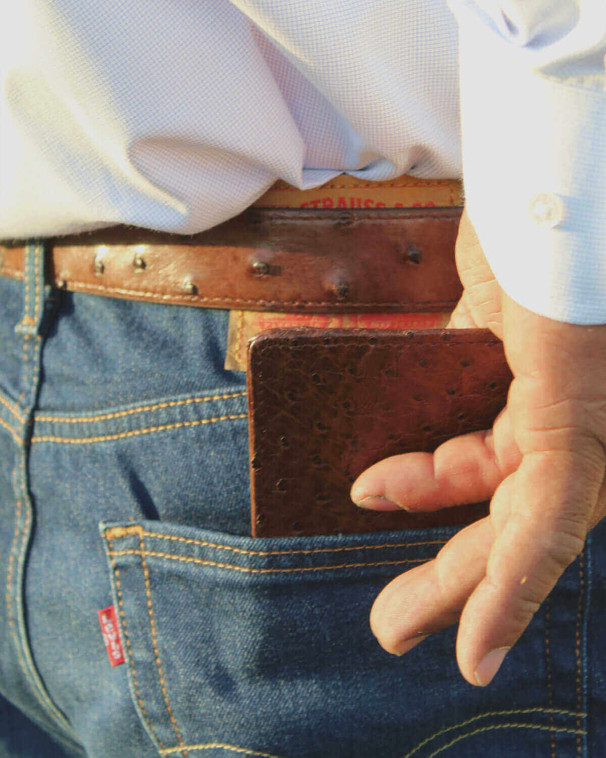 Full Quill Ostrich Men's Belt and Wallet by Vaccari Core