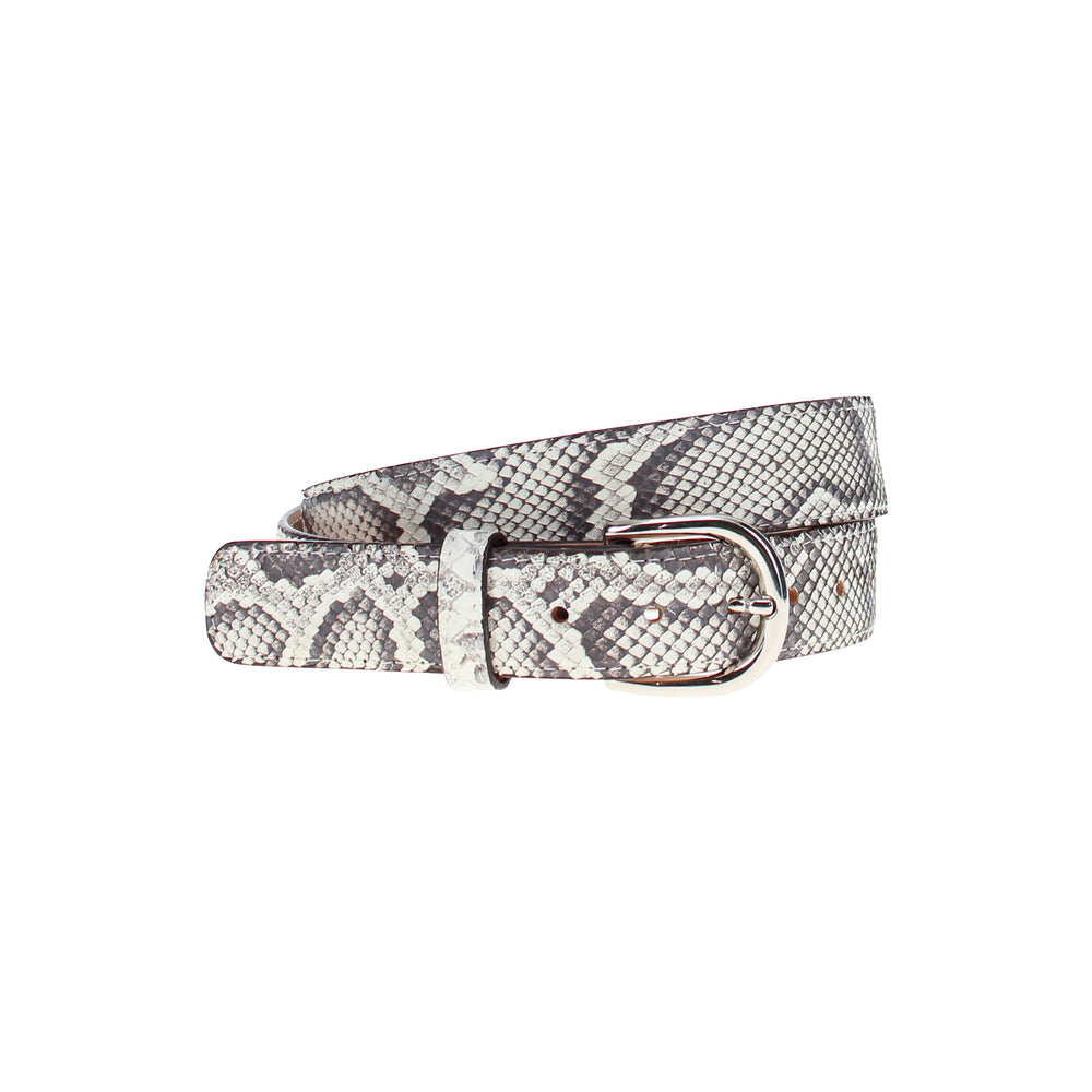 Python Belt