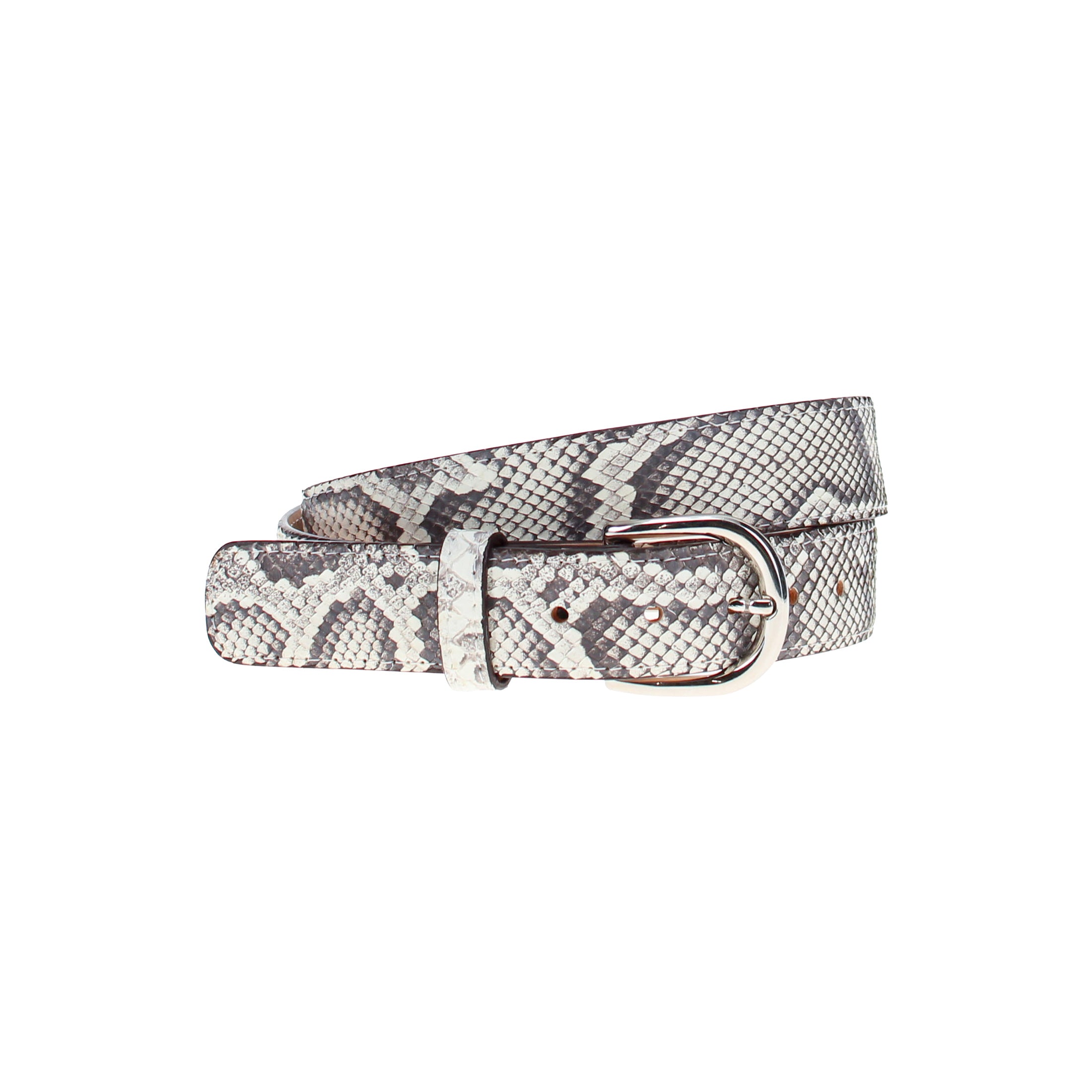 Python Belt