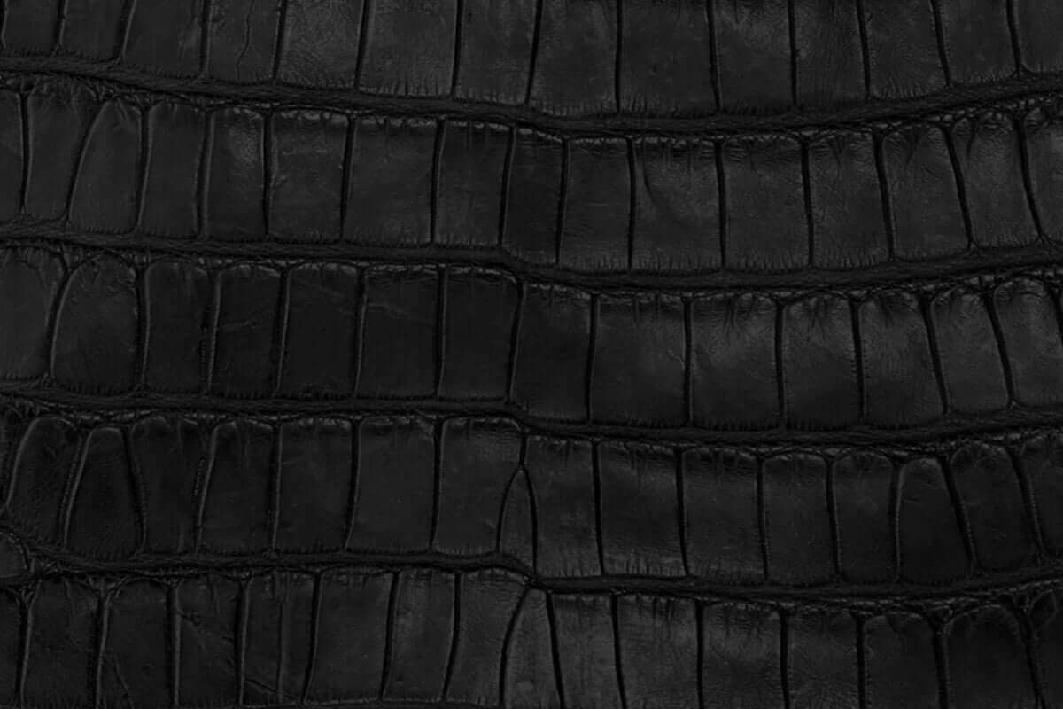 Swatch of American Alligator