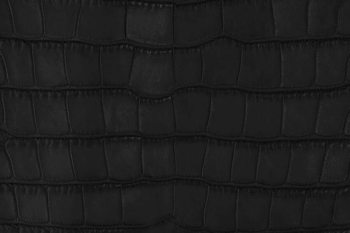 Swatch of American Alligator