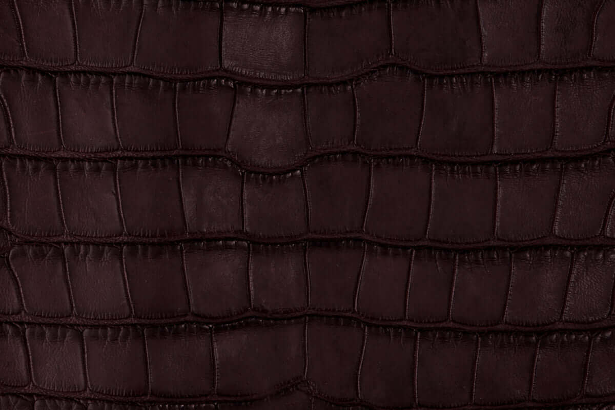 Swatch of American Alligator