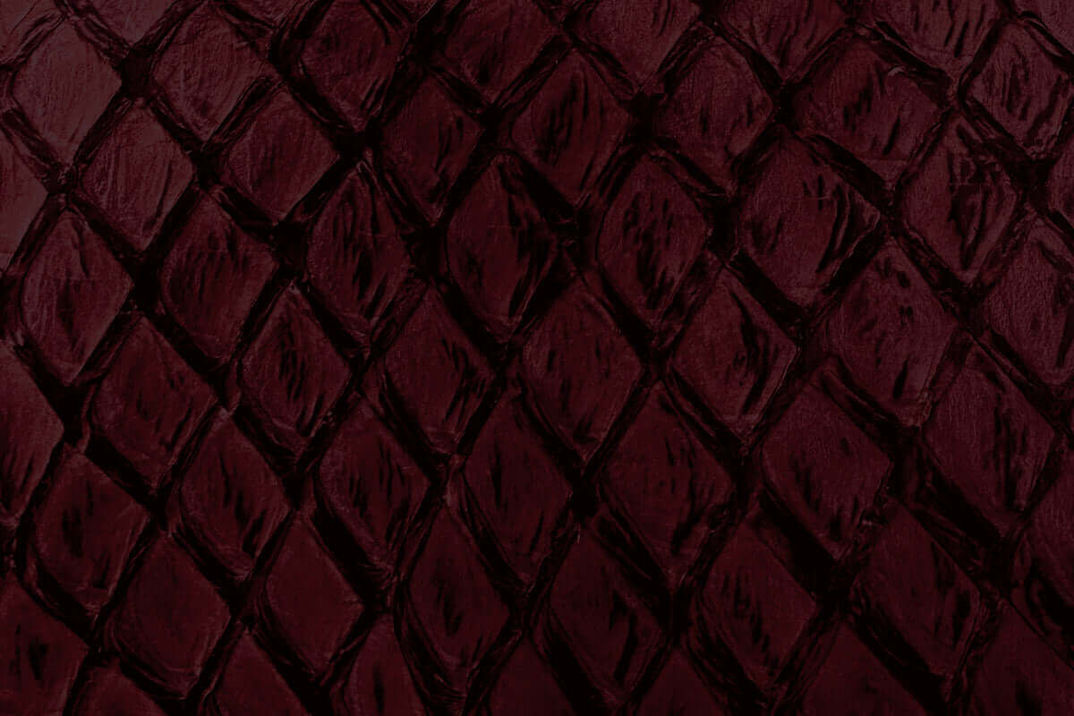 Swatch of Pirarucu Fish