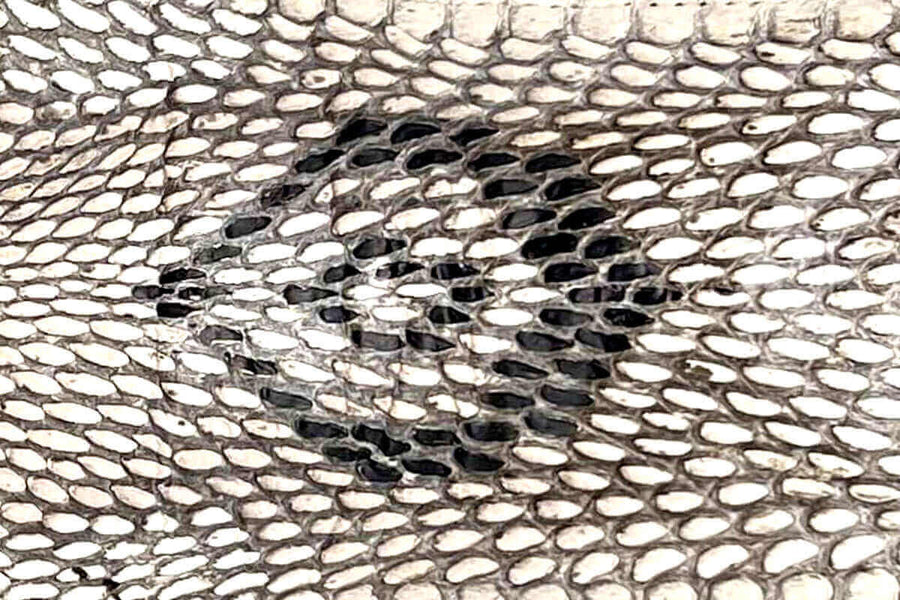 Cobra