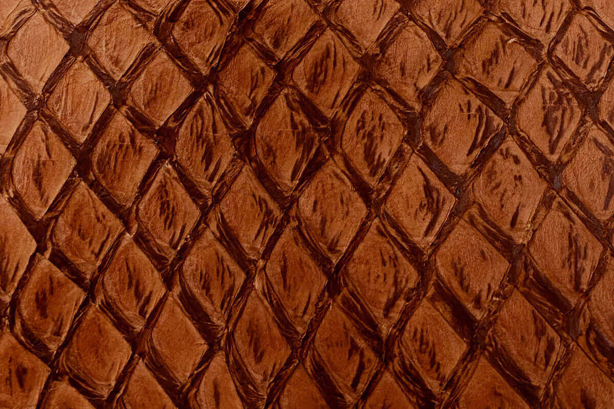 Swatch of Pirarucu Fish