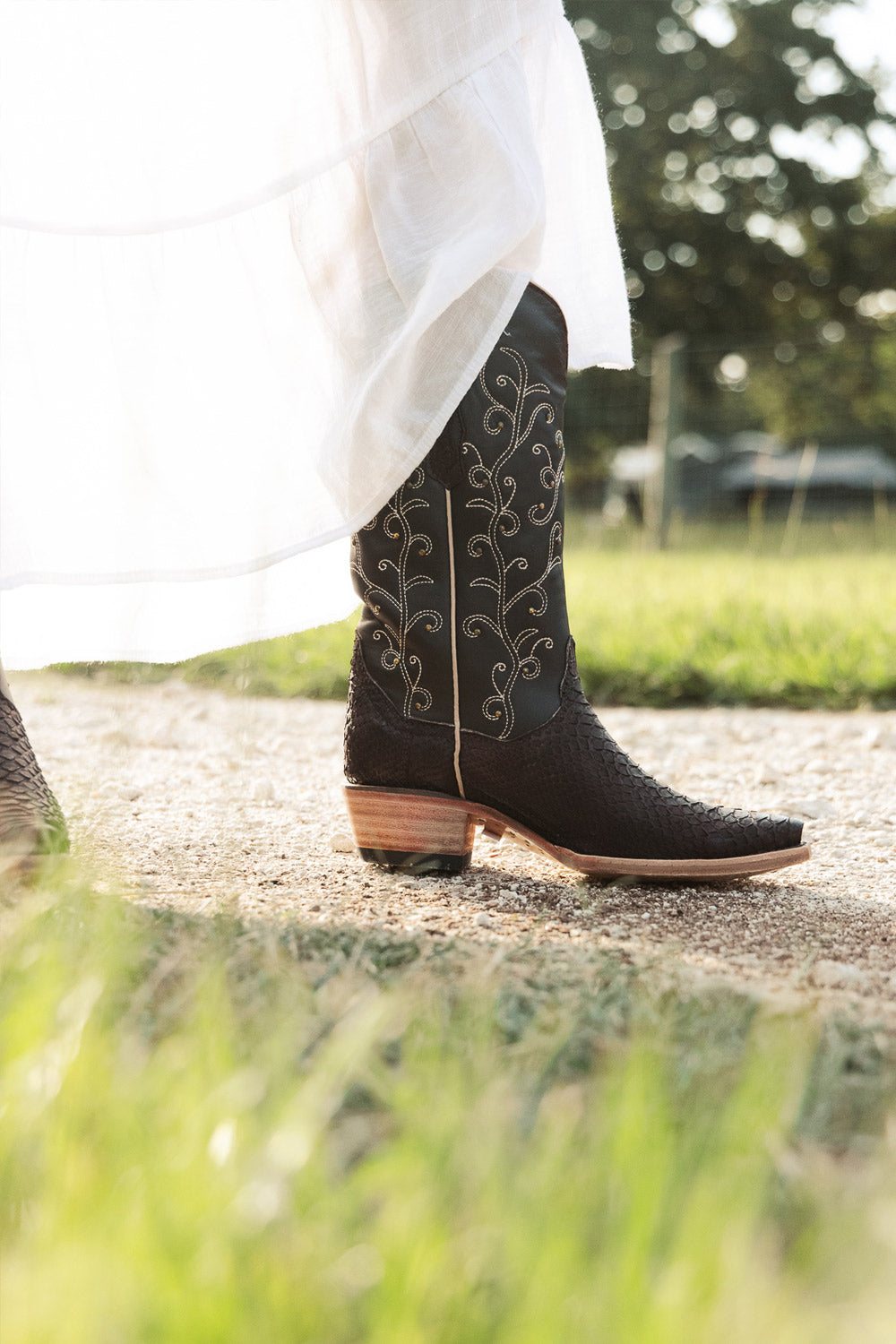 Women's Mocha Python Cowgirl Boots by Vaccari