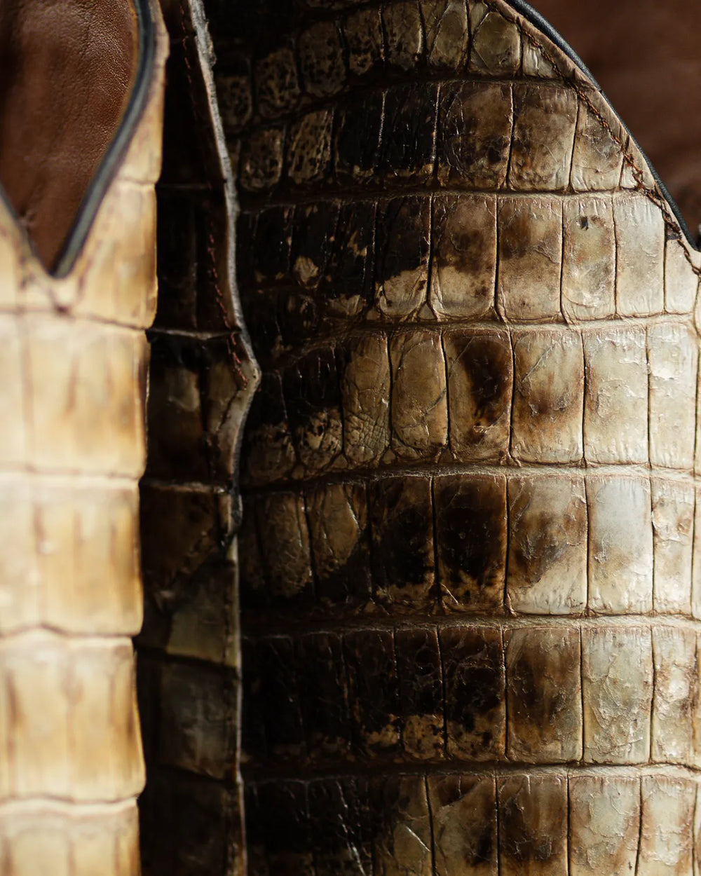 Natural American Alligator