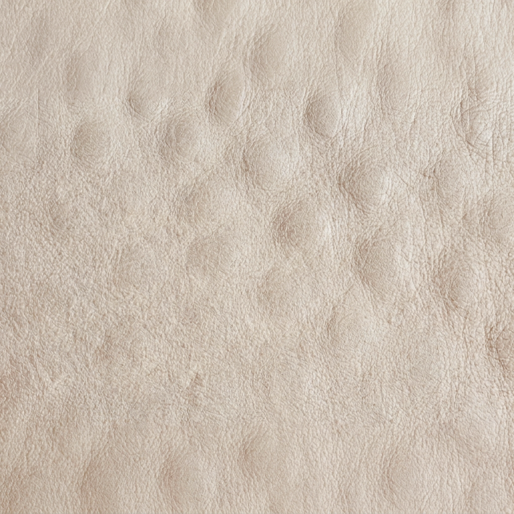 Smooth Ostrich