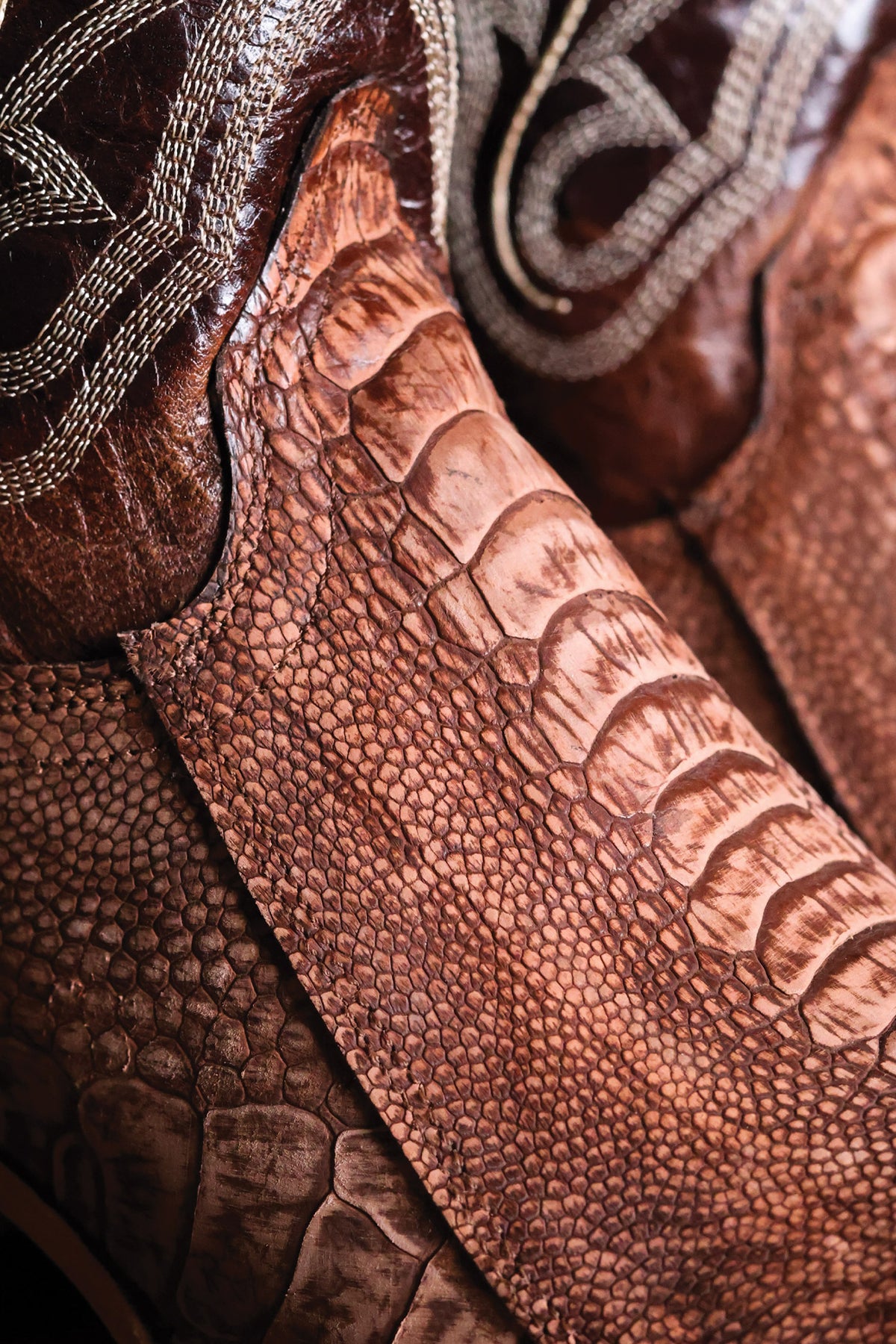 Ostrich Leg