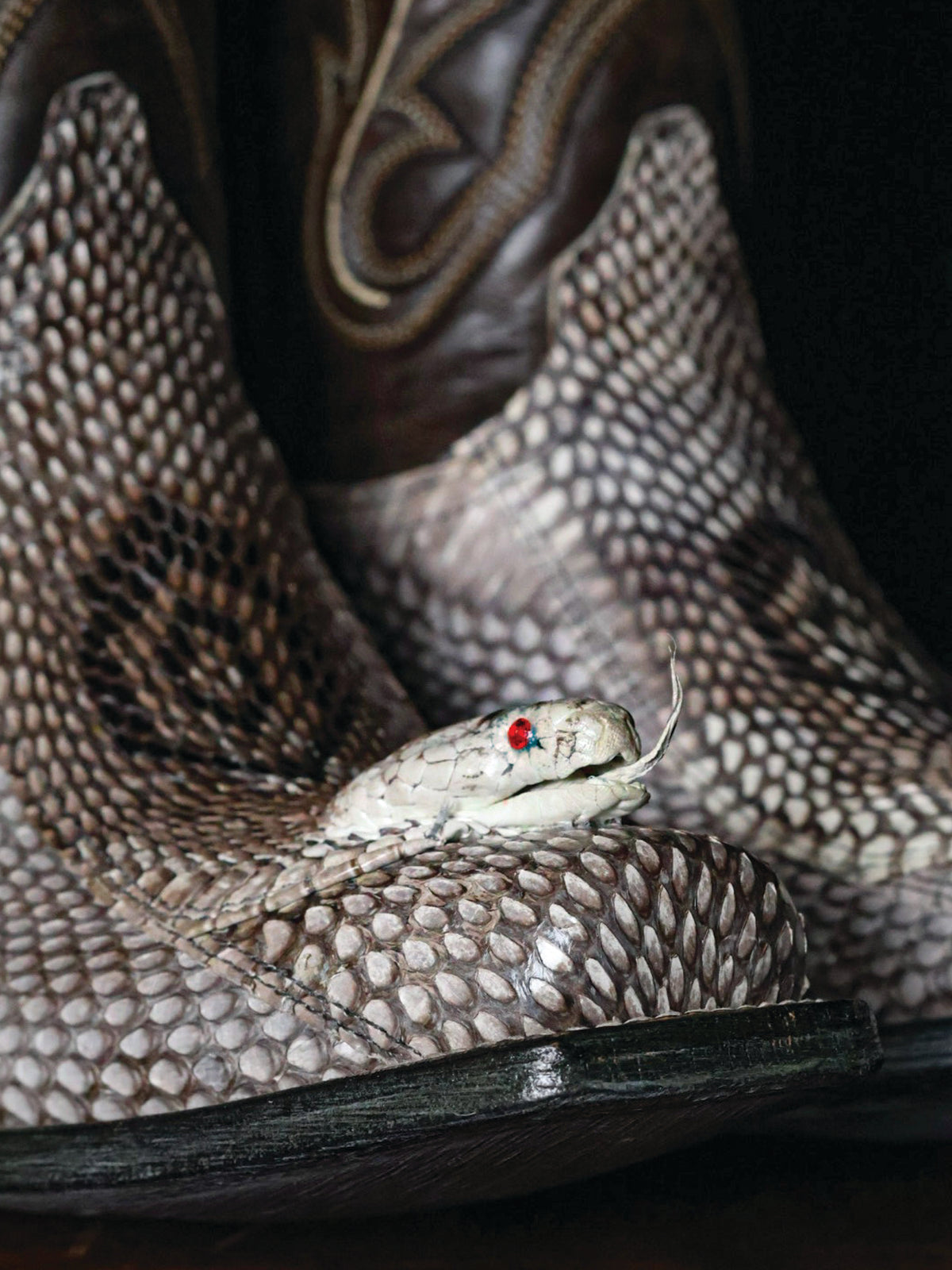 Cobra