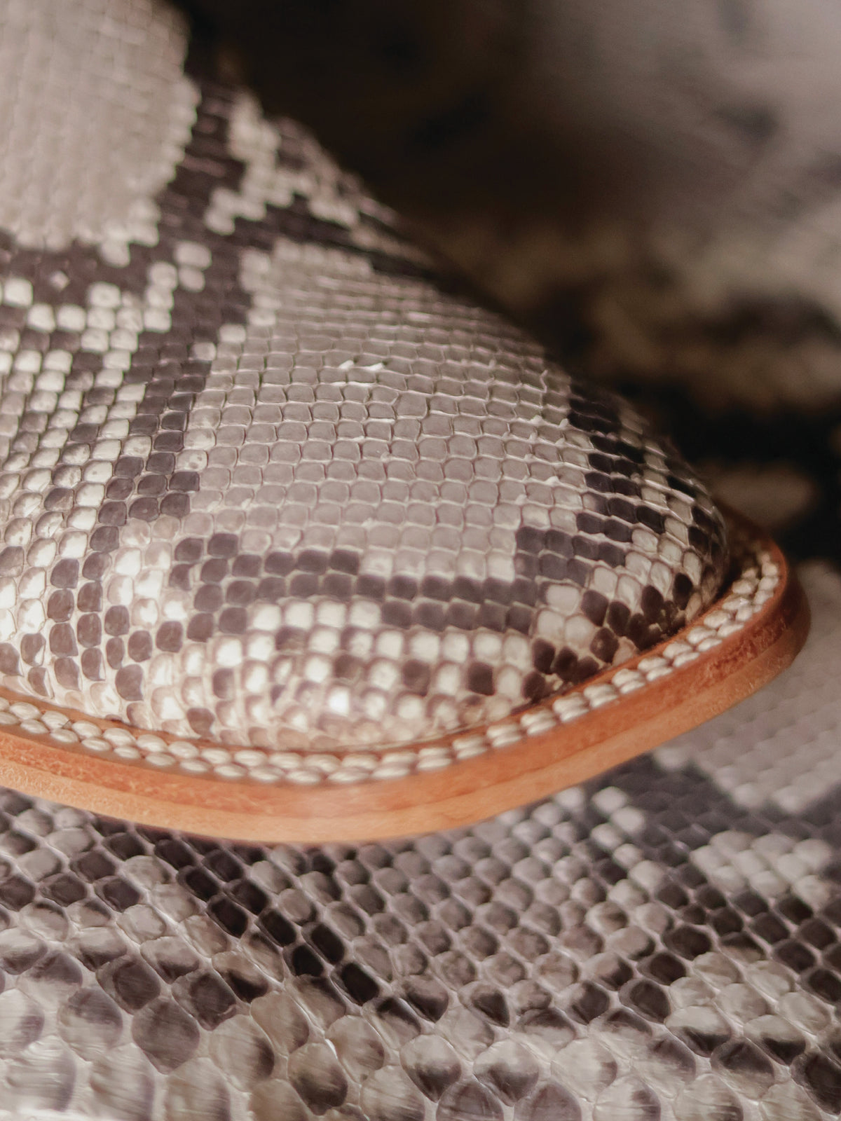 Python