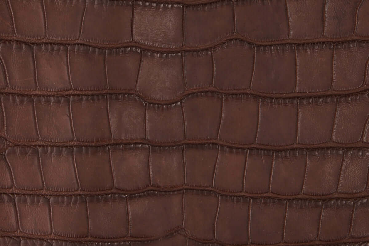 Swatch of American Alligator