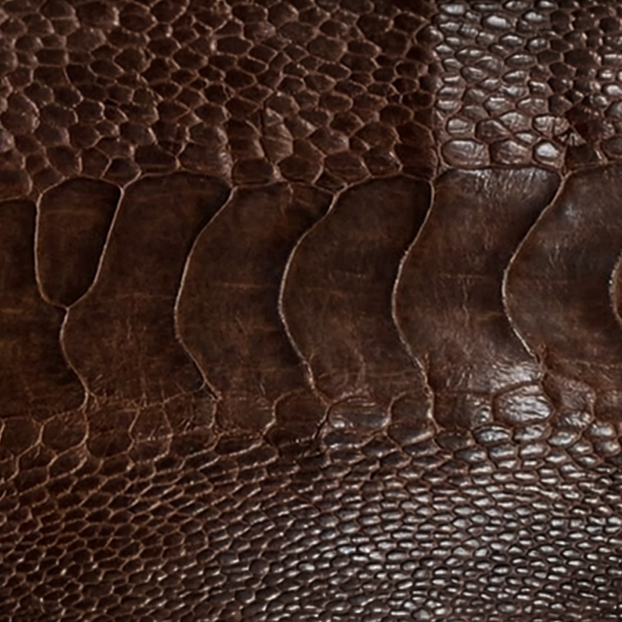 Ostrich Leg