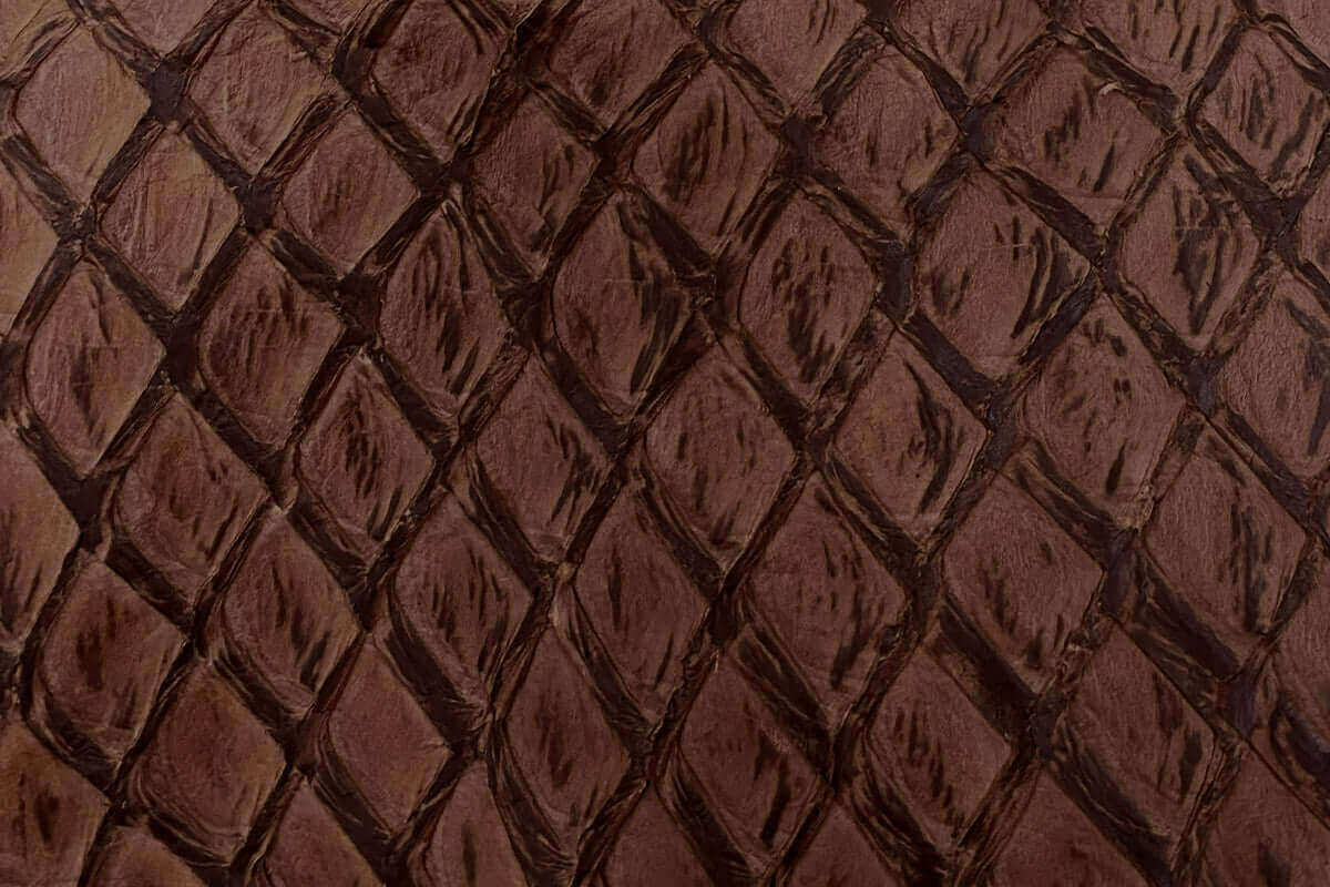 Swatch of Pirarucu Fish