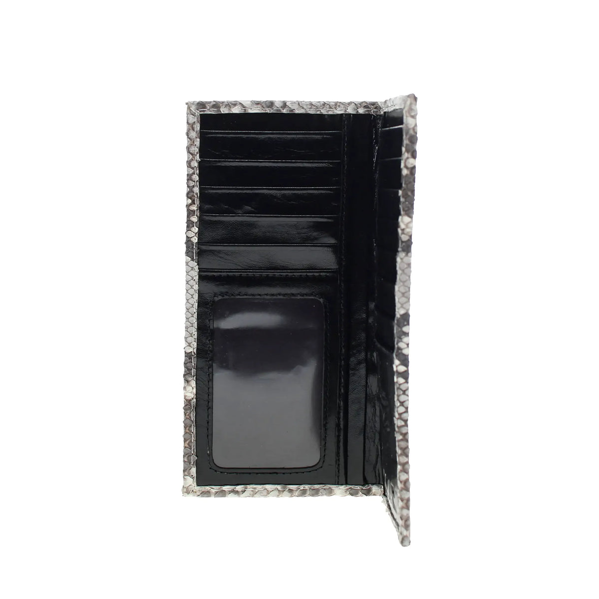 Python Checkbook Wallet
