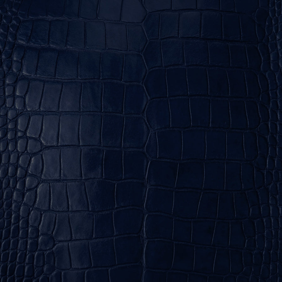 American Alligator Belly
