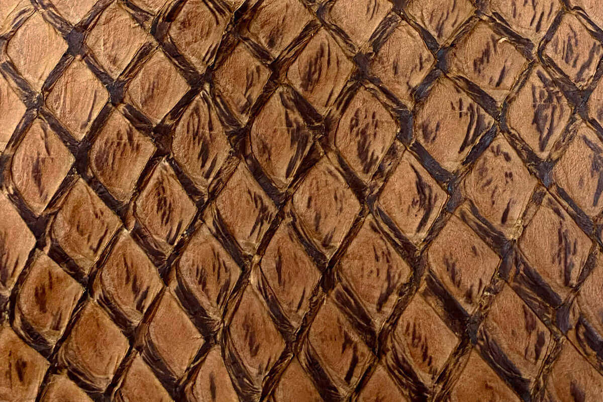 Swatch of Pirarucu Fish