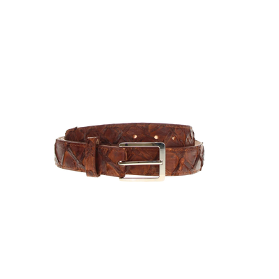 Pirarucu Fish Belt