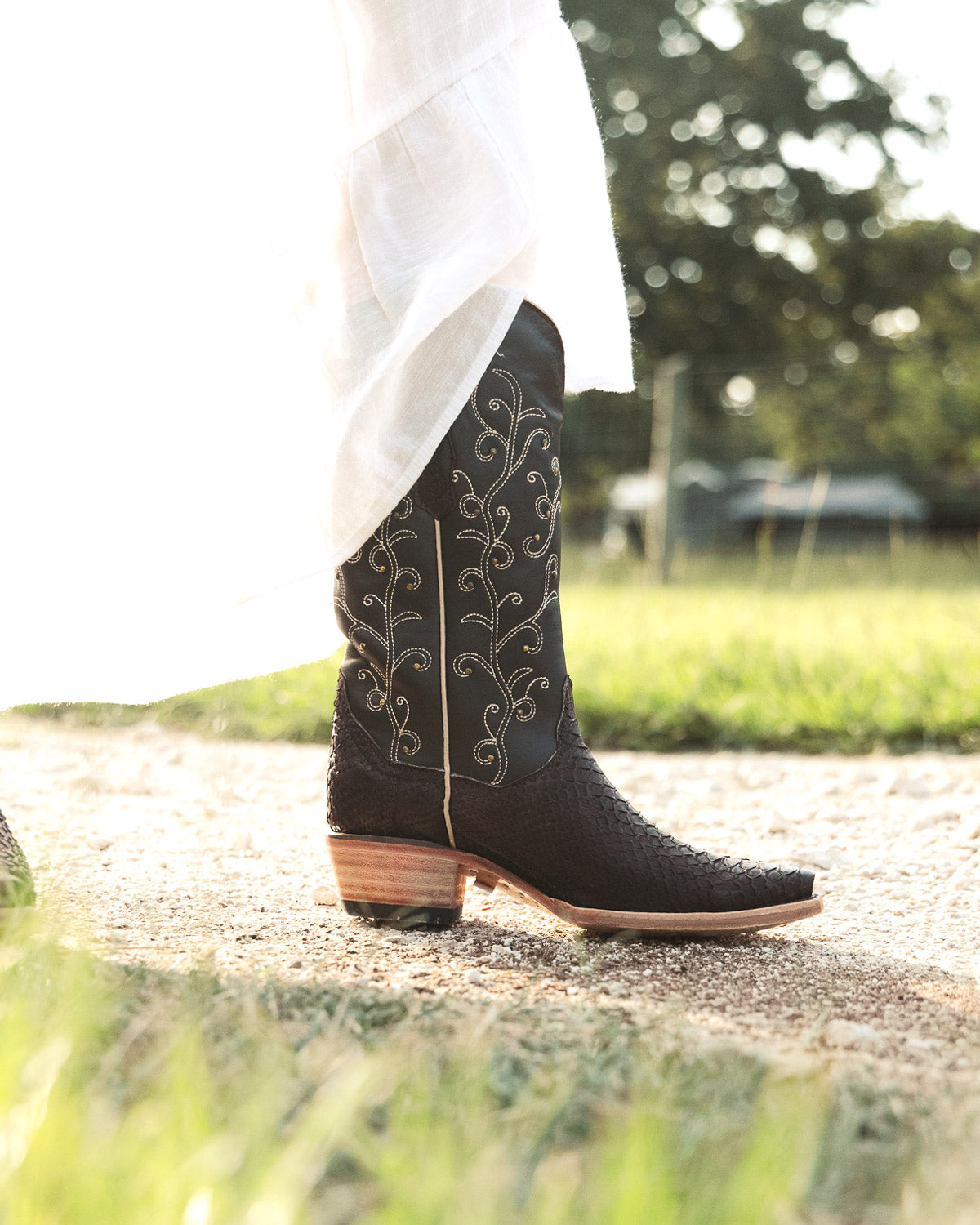 Women's Mocha Python Cowgirl Boots Piper by Vaccari Core