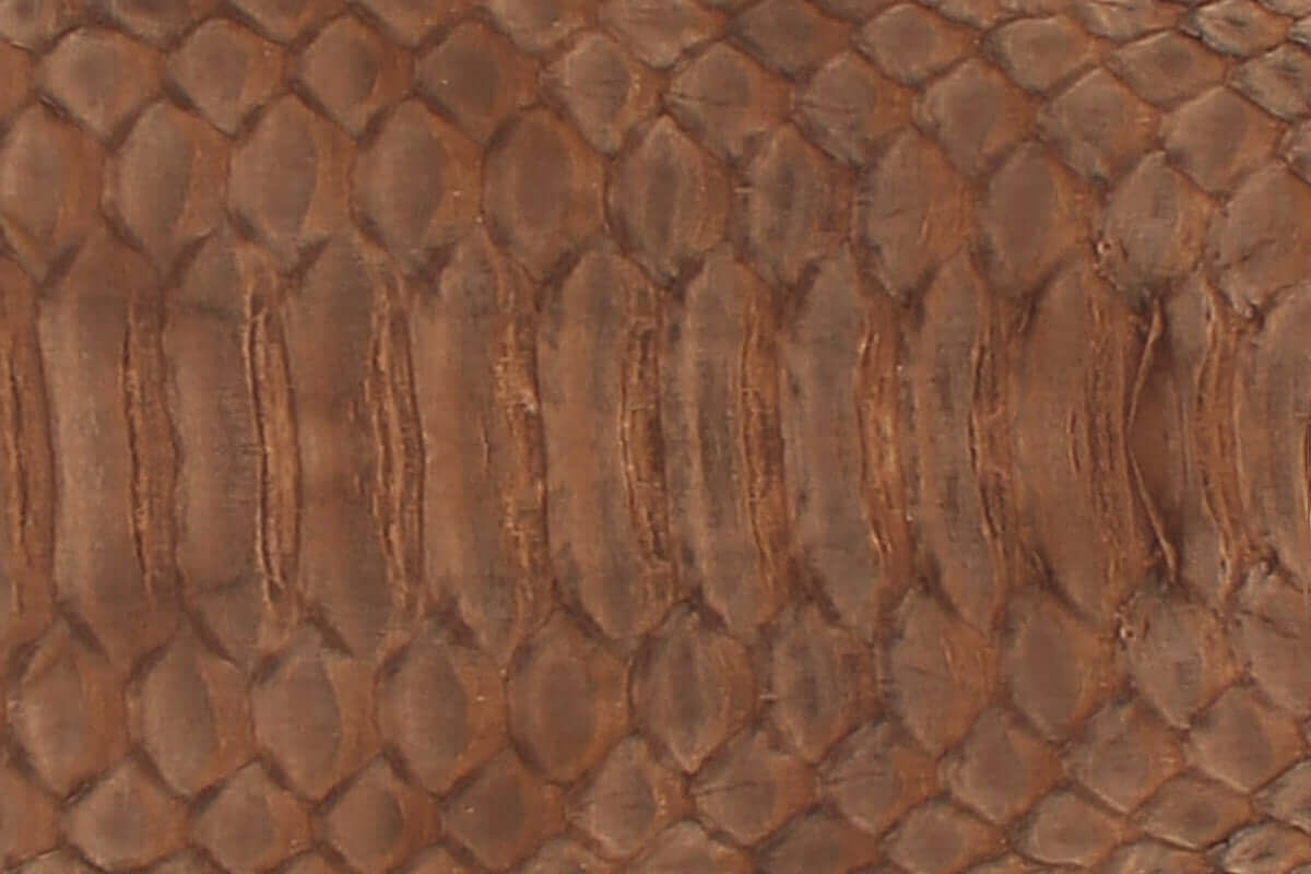 Swatch of Python Leather