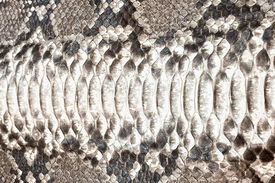 Python