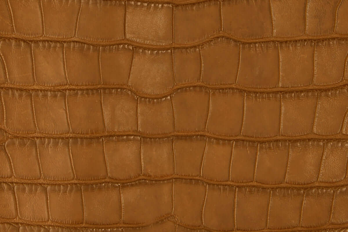 Tan American Alligator Belly