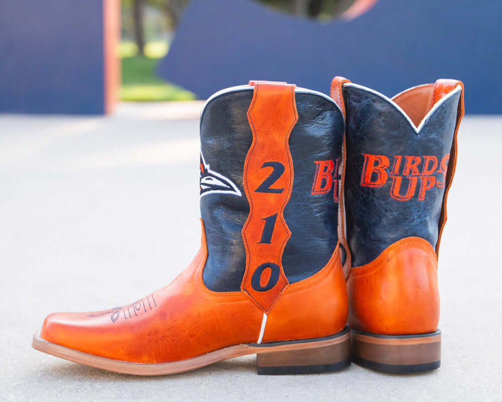THE UNIVERSITY OF TEXAS AT SAN ANTONIO