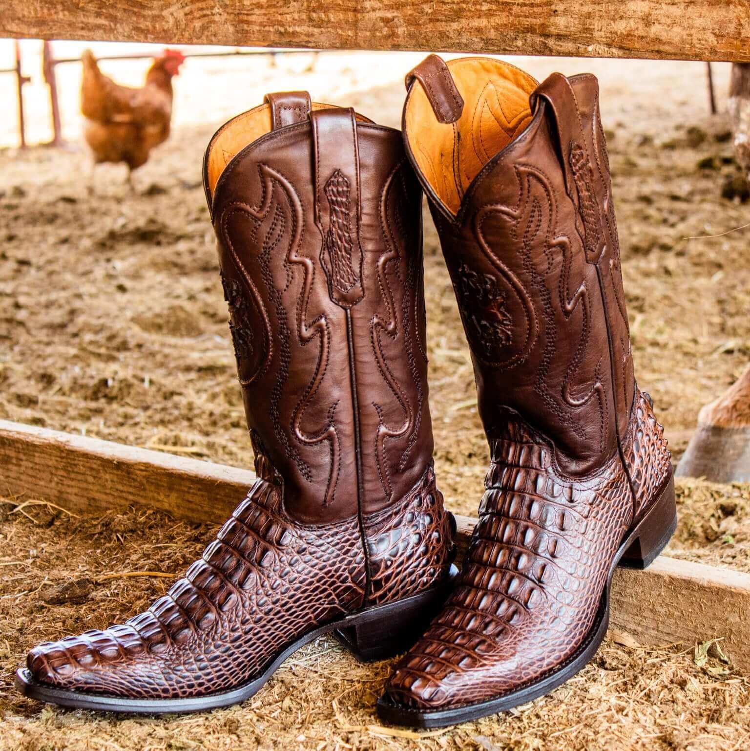 Mens Vaccari Mocha American Alligator 7 Toe Boots